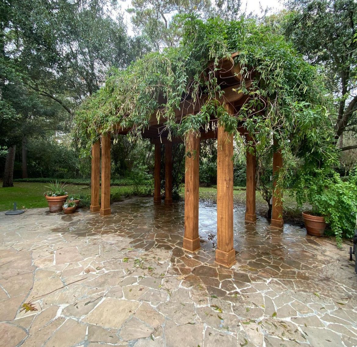 Construction of pergola under vine, River oak