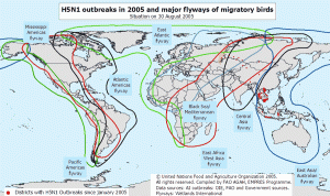 flyways migratory avian birds bird flu maps migration influenza spread major global gis america today outbreak outbreaks around asia navigation