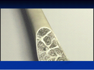 how do hollow bones help birds fly 7