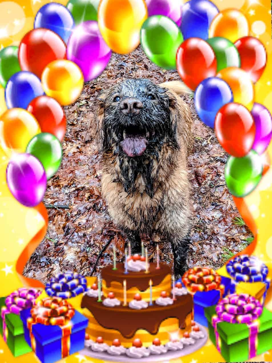 Happy Birthday to Me! Happy Birthday to My Blog! 1