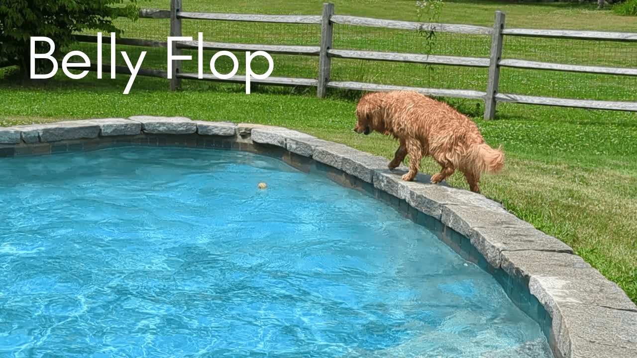 Splish Splash 5