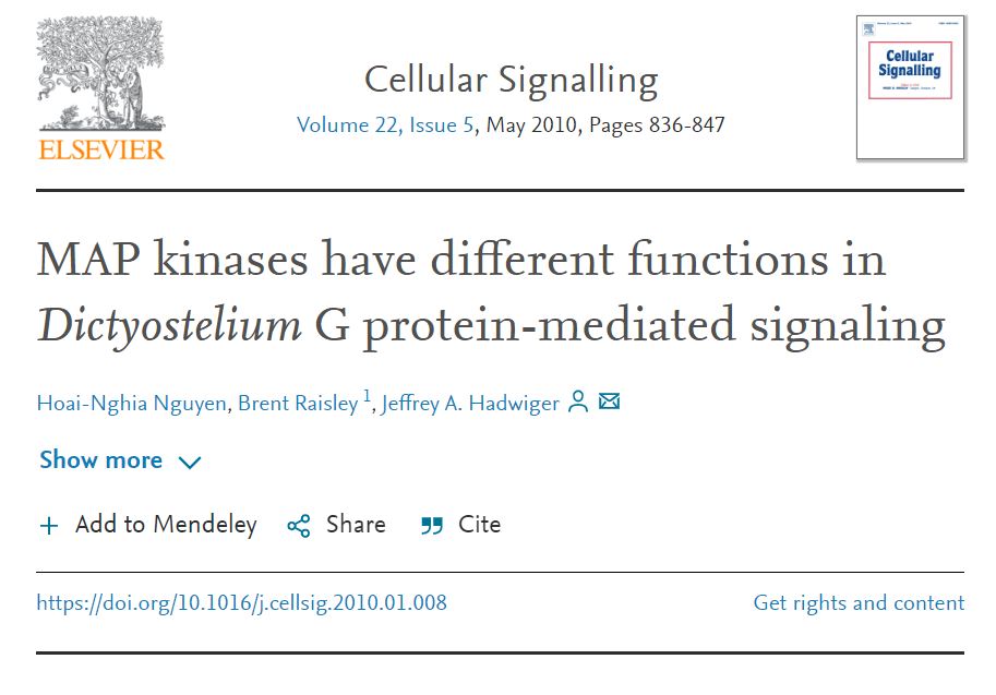 MAP Kinases Have Different Functions In G Protein Test.