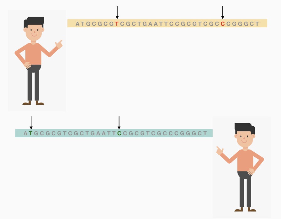 Do Identical Twins Have The Same DNA?