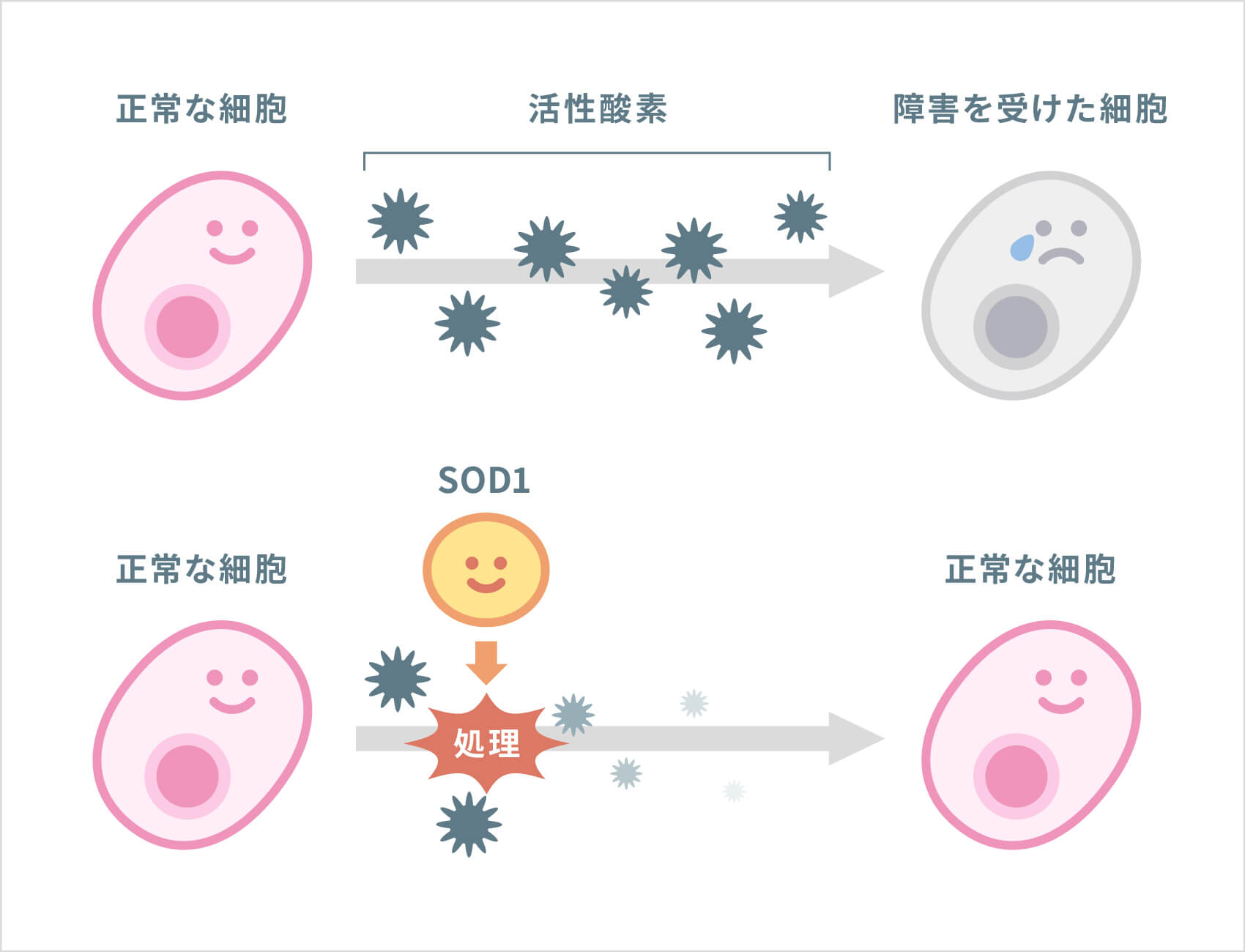 als なり やすい 人
