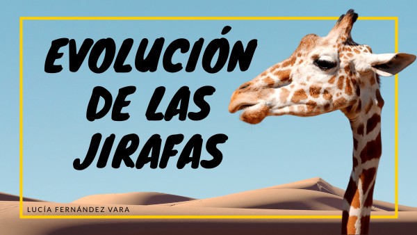 Evolución De Las Jirafas Genially