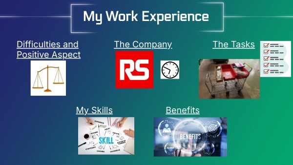 My Work Experience