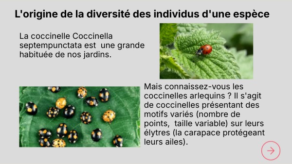 Séquence Pédagogique Secondaire Genially