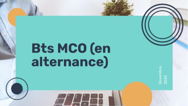 Présentation Du Bts Mco Genially