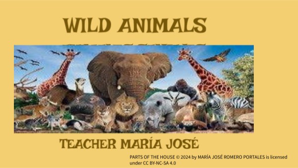 Wild Animals