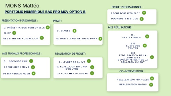 Portfolio Numérique Bac Pro Mcv Option B Genially