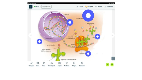 Genially Per Scienze Genially