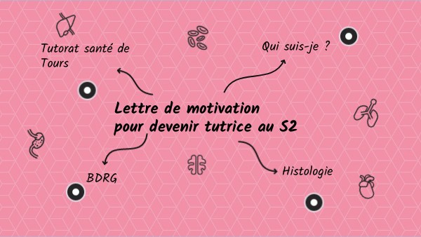 Lettre De Motivation Léandra Klein Genially