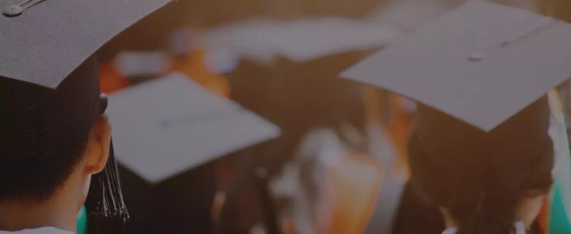 Case Studies Genius Monkey - 8K Ocean Pictures for Desktop