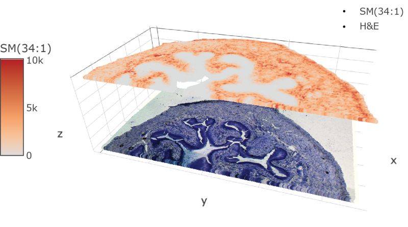 Spamtp Spatial Multi Omics Analysis Spamtp - Premium City Texture Gallery - Full HD