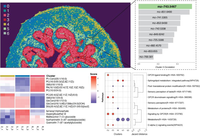 Spamtp Spatial Multi Omics Analysis Spamtp - Best Ocean Textures in Retina