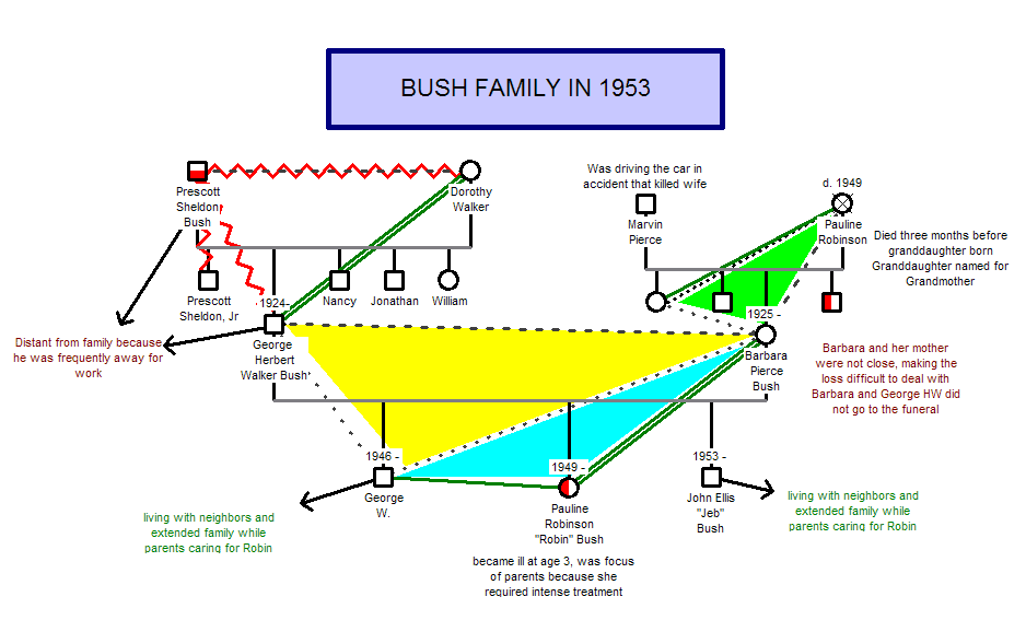 George H W Bush Family Tree Of A Political Dynasty