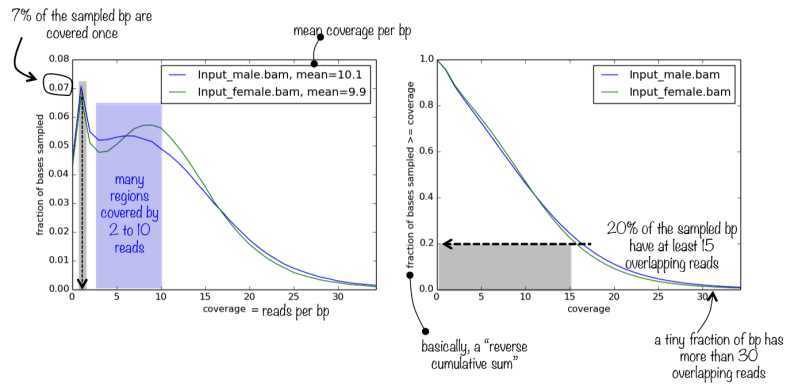 Plotcoverage Deeptools 3 5 6 Documentation - Ocean Pattern Collection - HD Quality