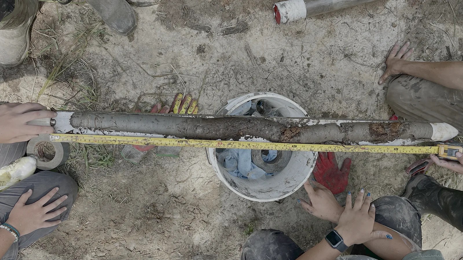 An opened sediment core at Hasty Point, with a measuring tape running along the full sediment sequence.