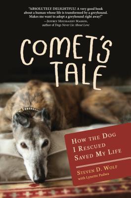 Book cover of Steven Wolf's "Comet's Tale"