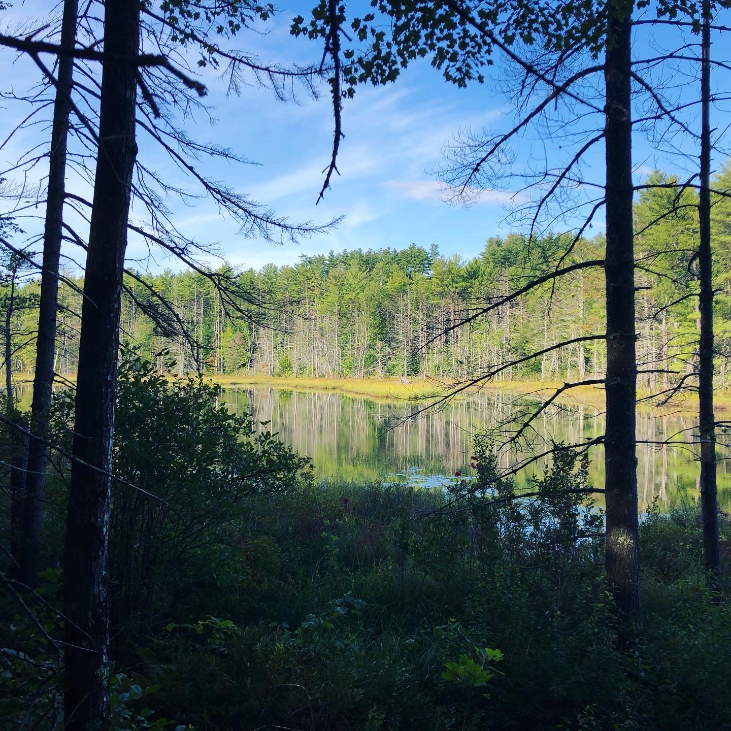 2020.09.01 Pudding Pond