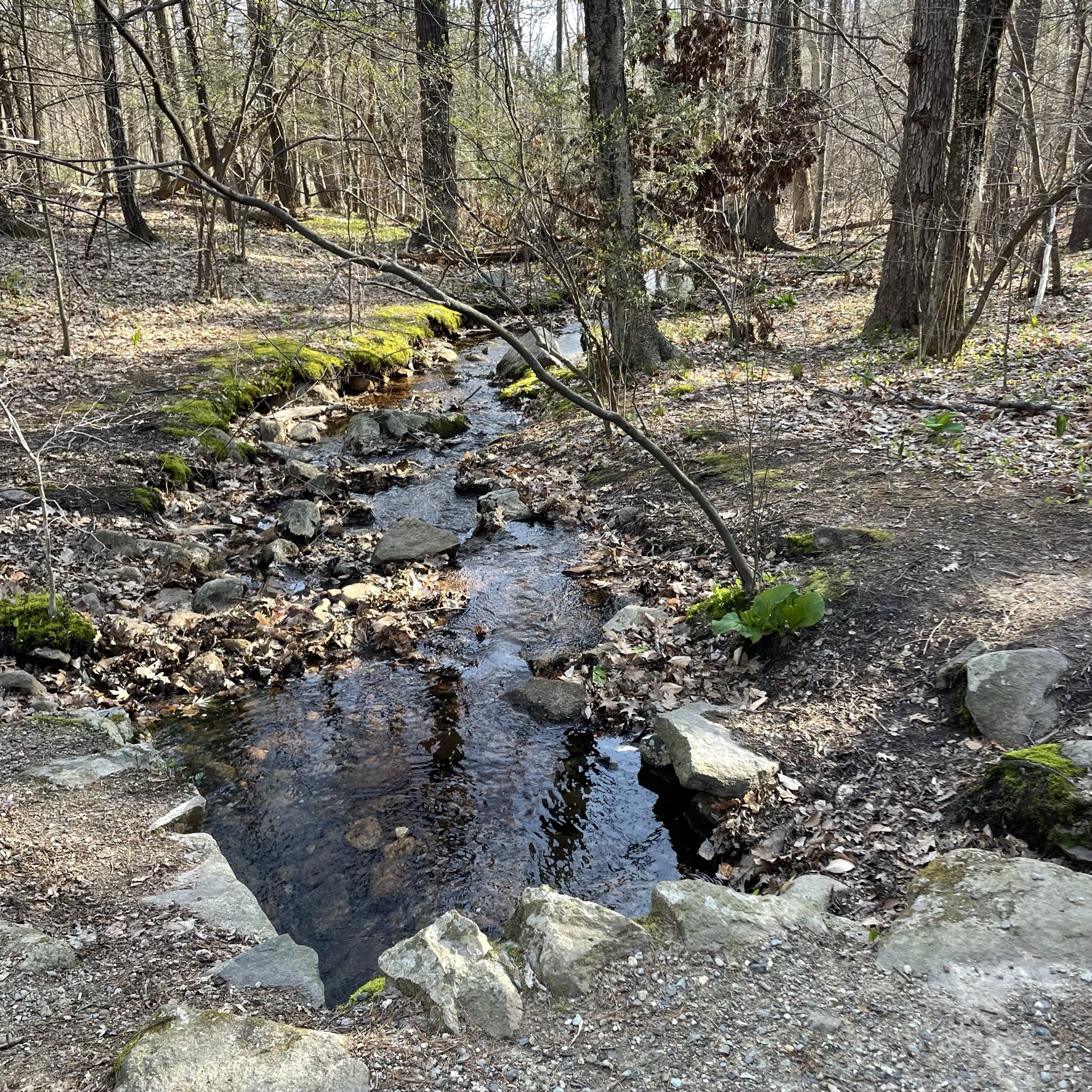 2022.04.23 Breakneck Ledge Loop 2
