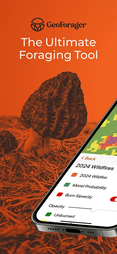 Burn Morel Hunting Maps Apps With Wildfire Logging Data
