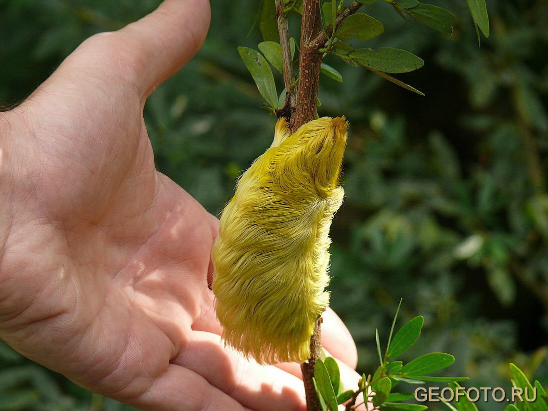 Лучшие варианты вашего отдыха по самой выгодной цене! Geofoto Ru Fotografii Amazonii Foto Amazoniya Tury V Amazoniyu Otdyh V Ekvadore Otdyh A Amazonii Amazonka Amazonskie Dzhungli Tihij Okean Kolumbiya Peru Stolica Kito Andy Dejstvuyushij Vulkan San Kristobal Guayakil Kolonialnaya Arhitektura