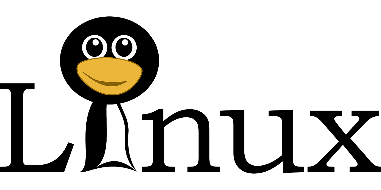 Read more about the article You Should Start Learning LInux Now