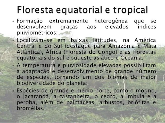 slide floresta equatorial e tropical vegetação mundial
