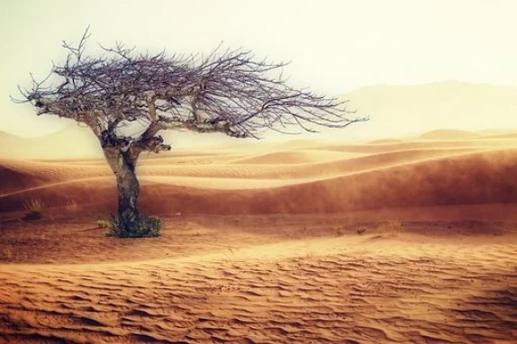 Drought