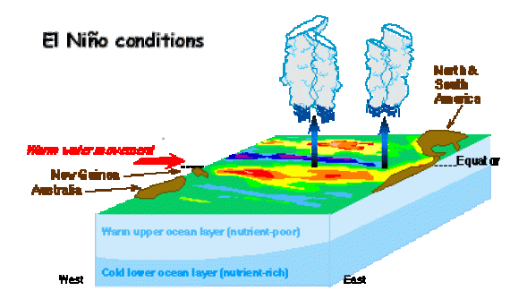El Nino Conditions