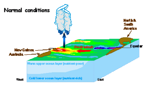 Normal Conditions of El Nino and La Nina