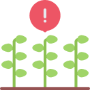 Weeds & insects Identification