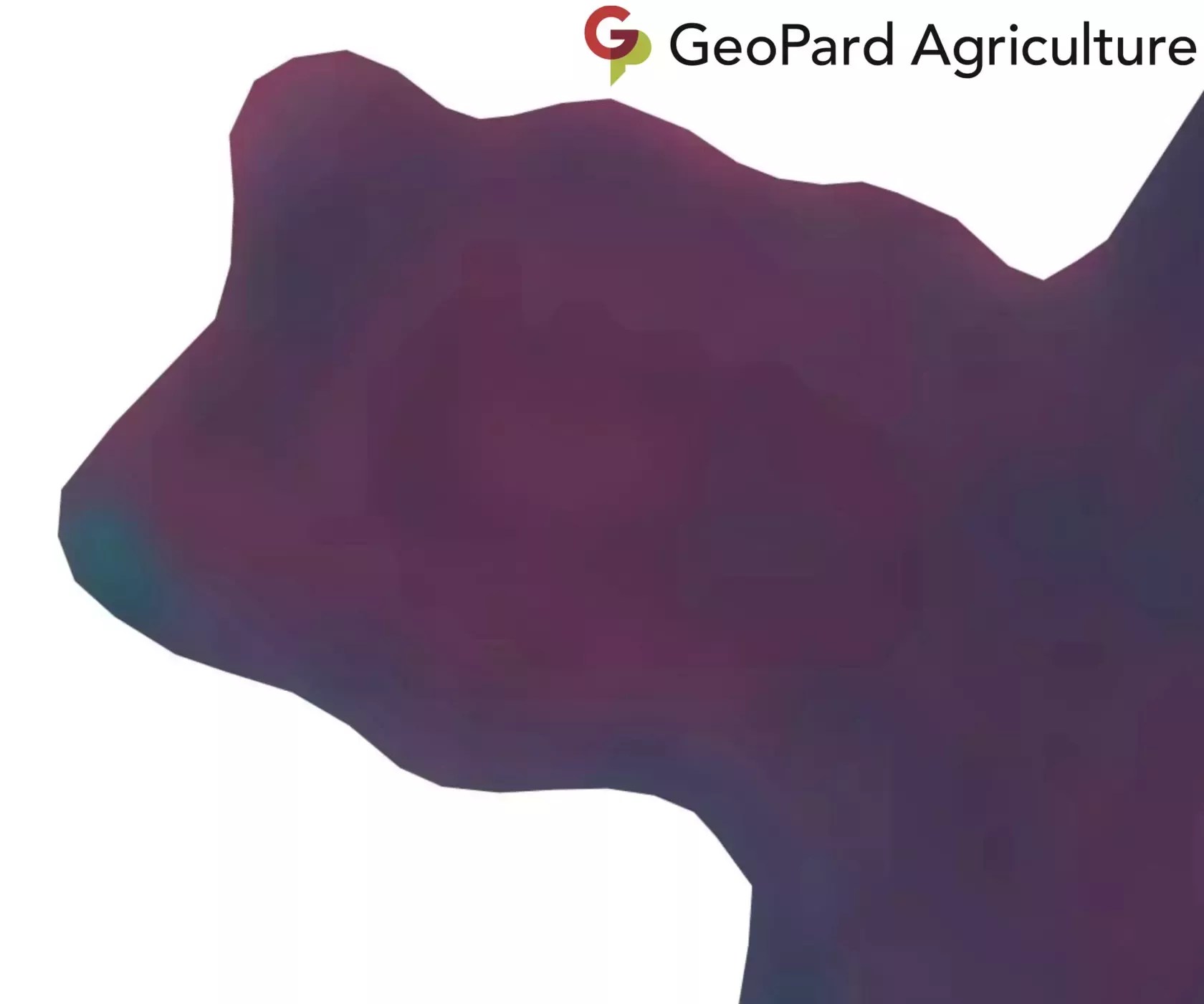 Near-infrared cropped raster geopard