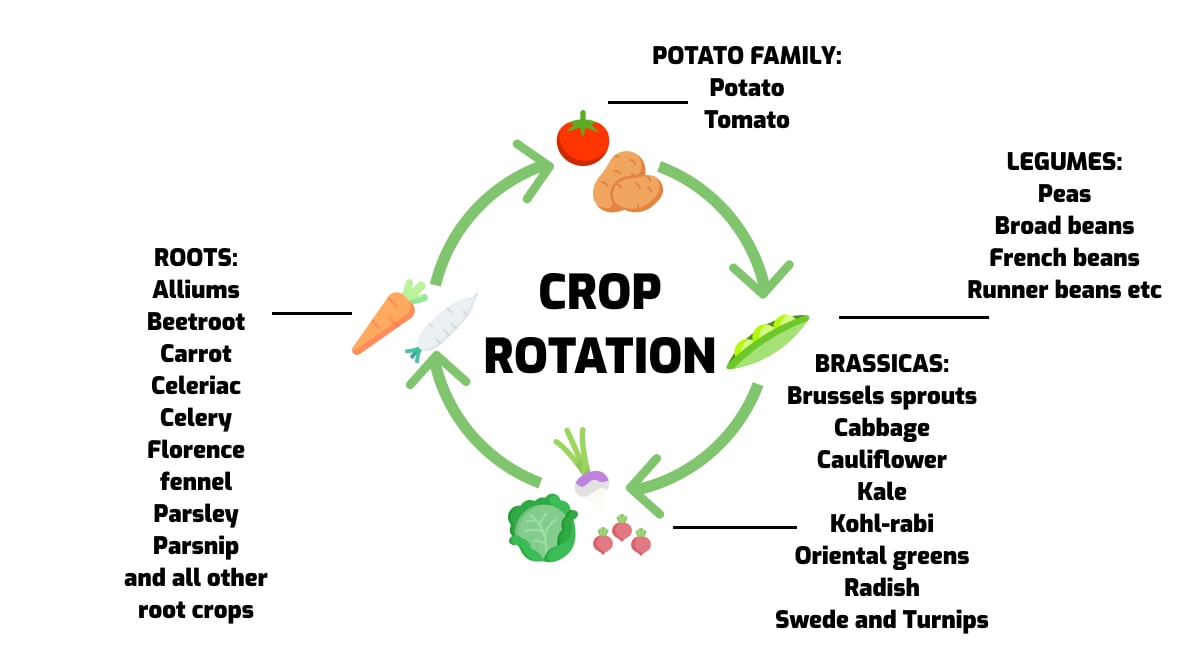 Advantages of crop rotation 🍃