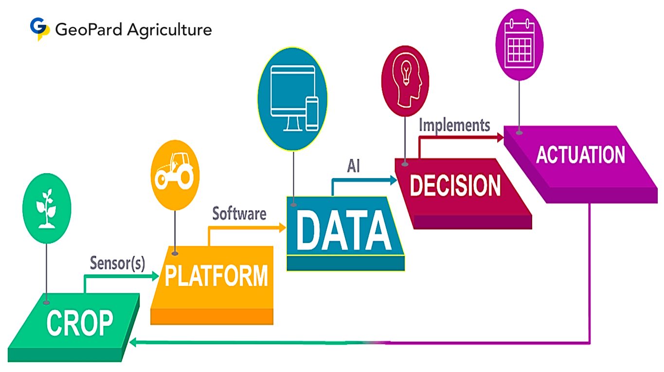 The Future Of Precision Agriculture In Food Security - GeoPard Agriculture