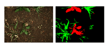 Example of input-output of segmentation