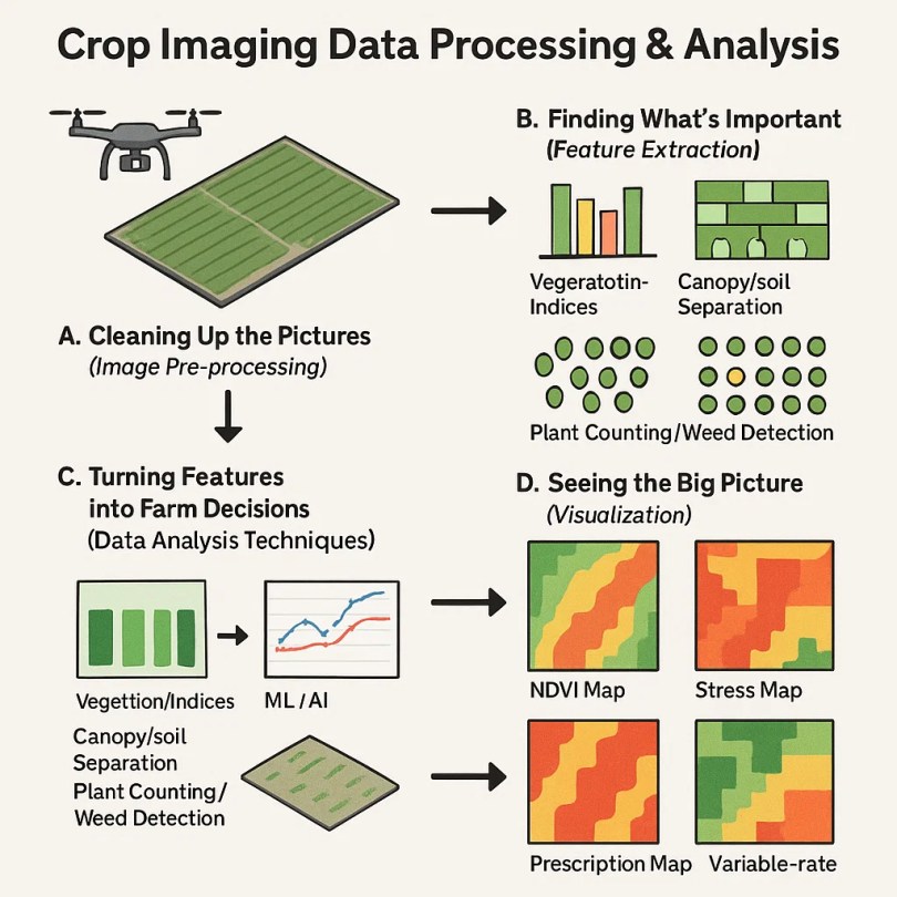 Crop Imaging Data Processing & Analysis