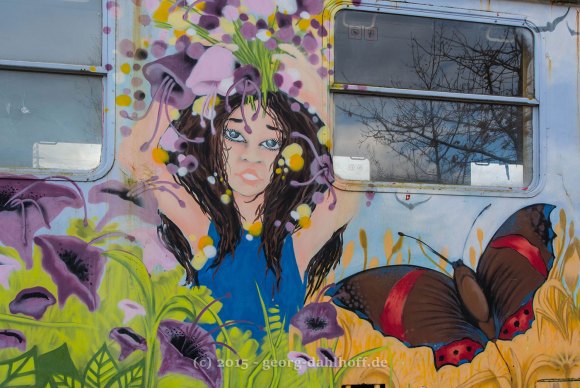 Graffiti am Bahnwaggon im Park am Mäuseturm - Bild Nr. 201502224124