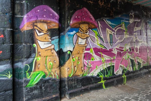 Graffiti in der Bahnunterführung am Nahe-Eck - Bild Nr. 201502224125