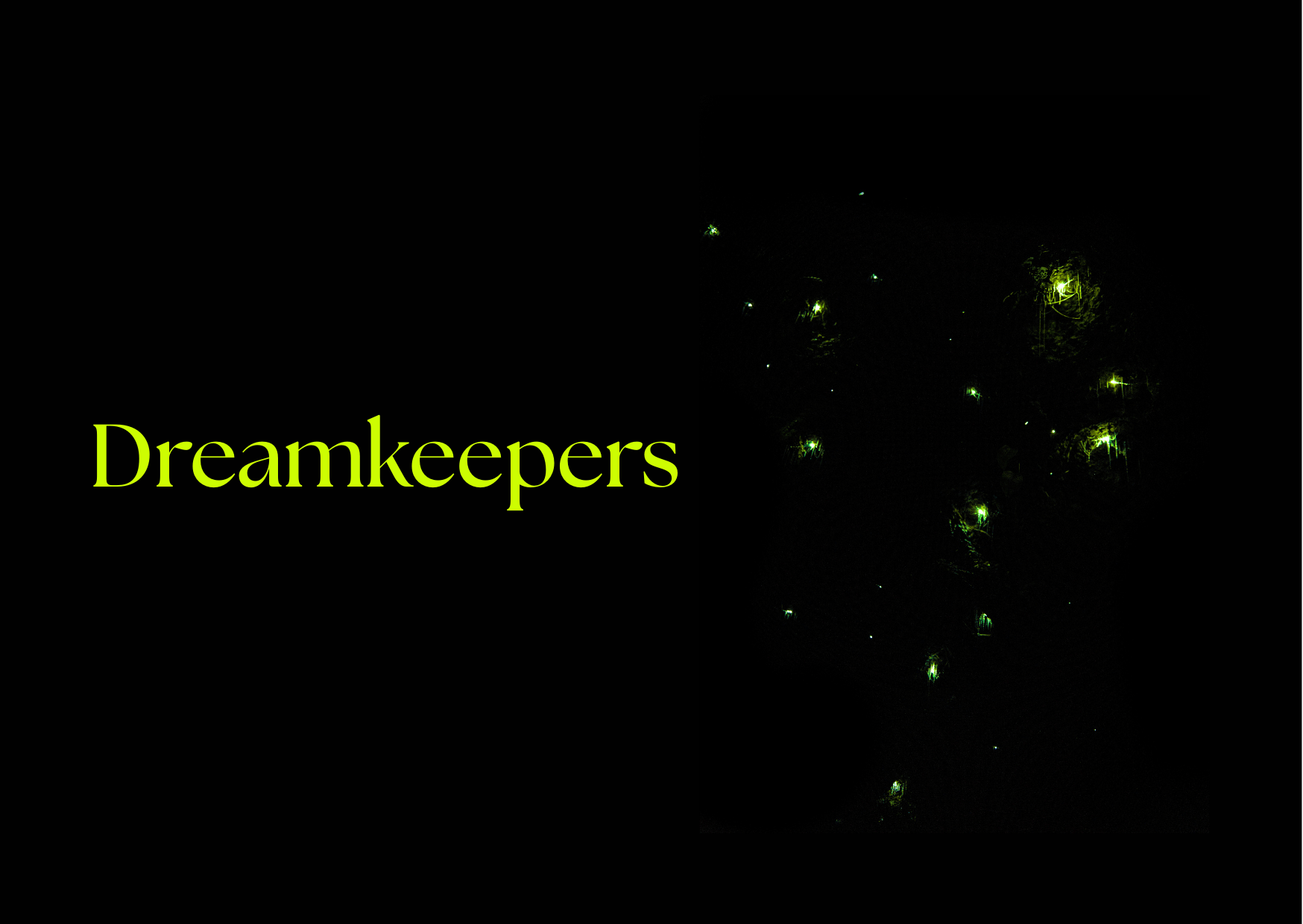 Dreamkeepers: Illuminating Night with Fireflies and Dreams