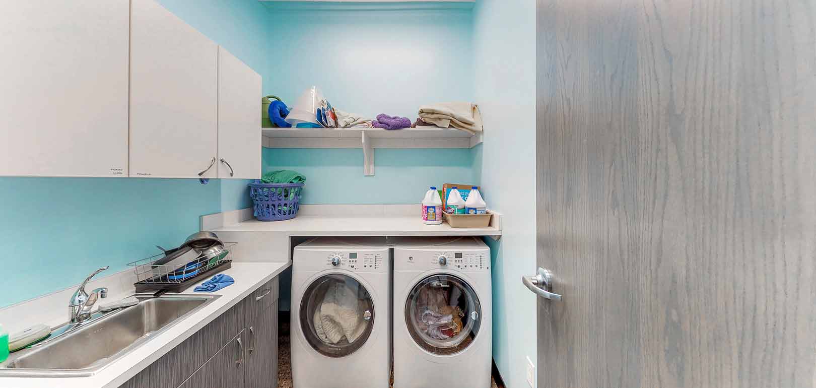 Veterinarian in hudsonville, mi