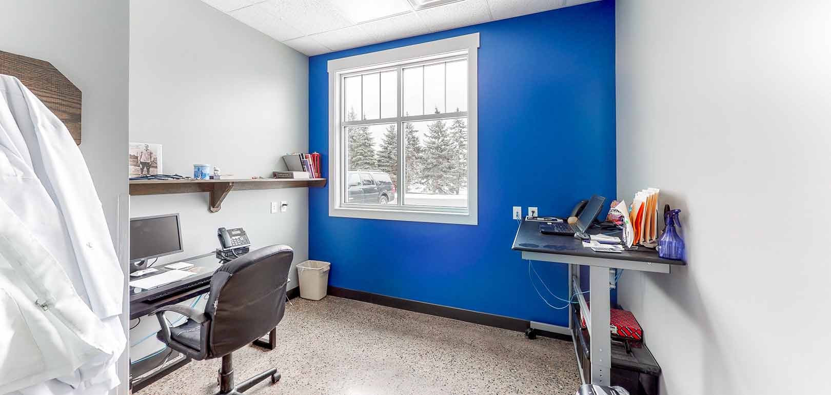 Veterinarian in hudsonville, mi