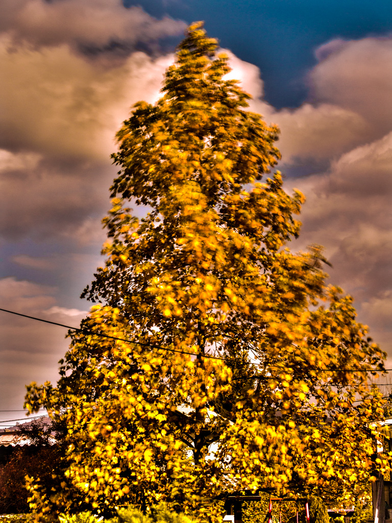 HDR