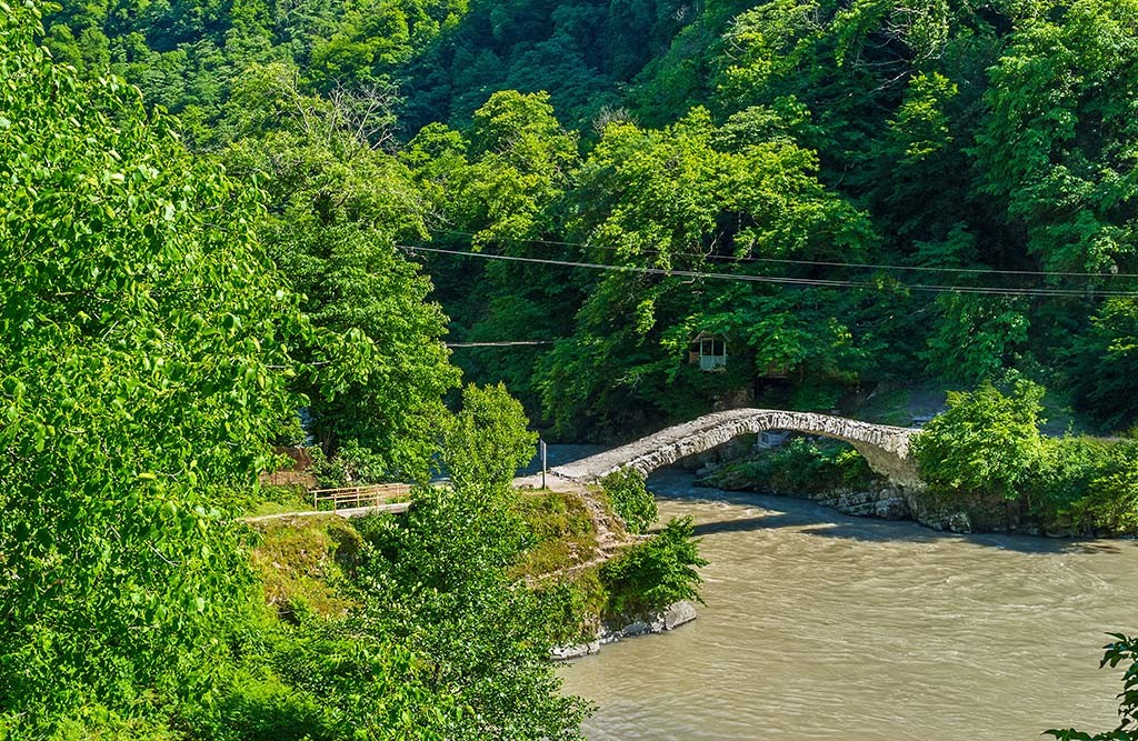 Отписались можно сказать мгновенно, прислали несколько вариантов . Nezabyvaemaya Ekskursiya Po Gornoj Adzharii S Nastoyashim Zastolem Georgiaguide Ru