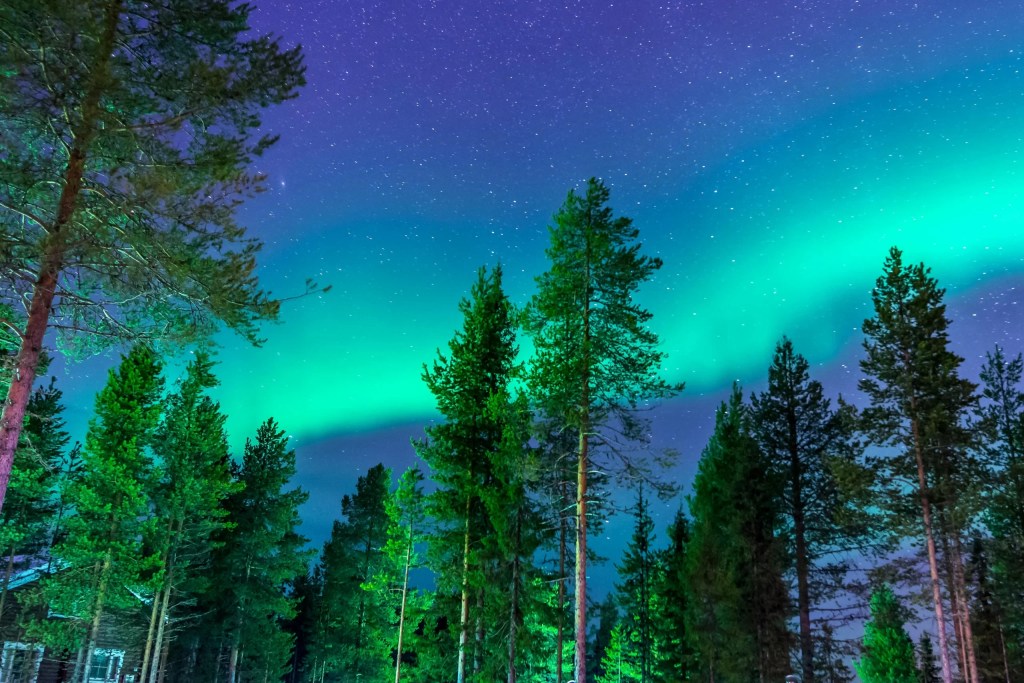 Finland earns a Political Risk Score of 5/5, showing stability and low corruption. Businesses can plan long-term with confidence. The GDP per Capita Score of 8/10 points to strong purchasing power and a highly skilled workforce.