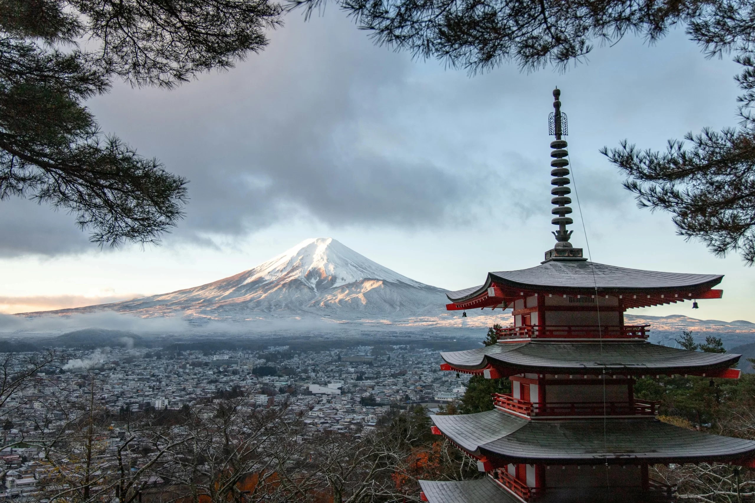 Foreign companies can enter the Japanese market by establishing one of the main types of legal entities available: subsidiaries, branch offices, or representative offices. Each of these legal entities offers different opportunities and considerations for establishing a business presence in Japan.