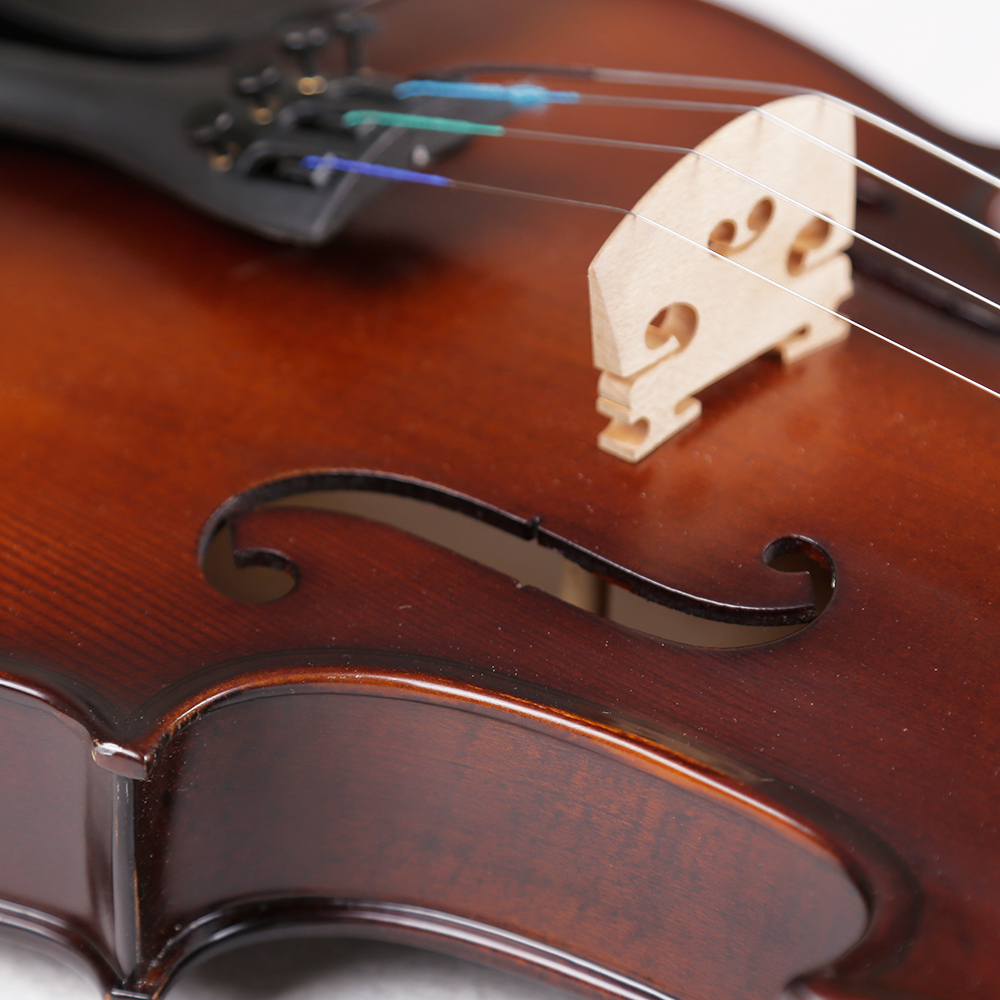 Strumenti a corde 2500 violin