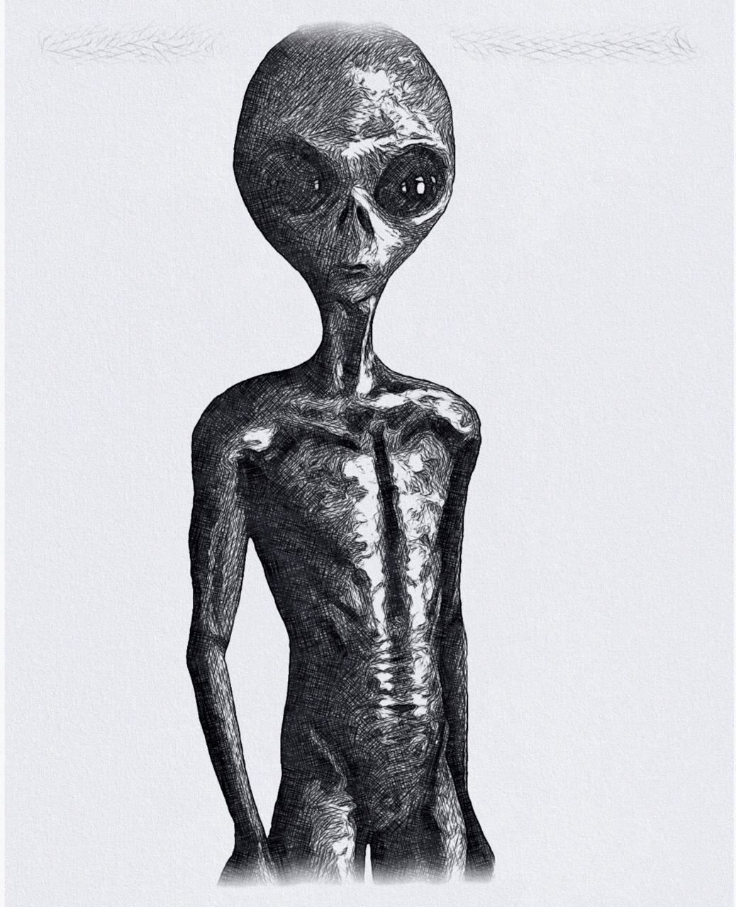 I examined its features its ethereal form as it gazed back at me with large black eyes. It felt like it was peeking into my soul. I received static electric shocks in the days that followed.