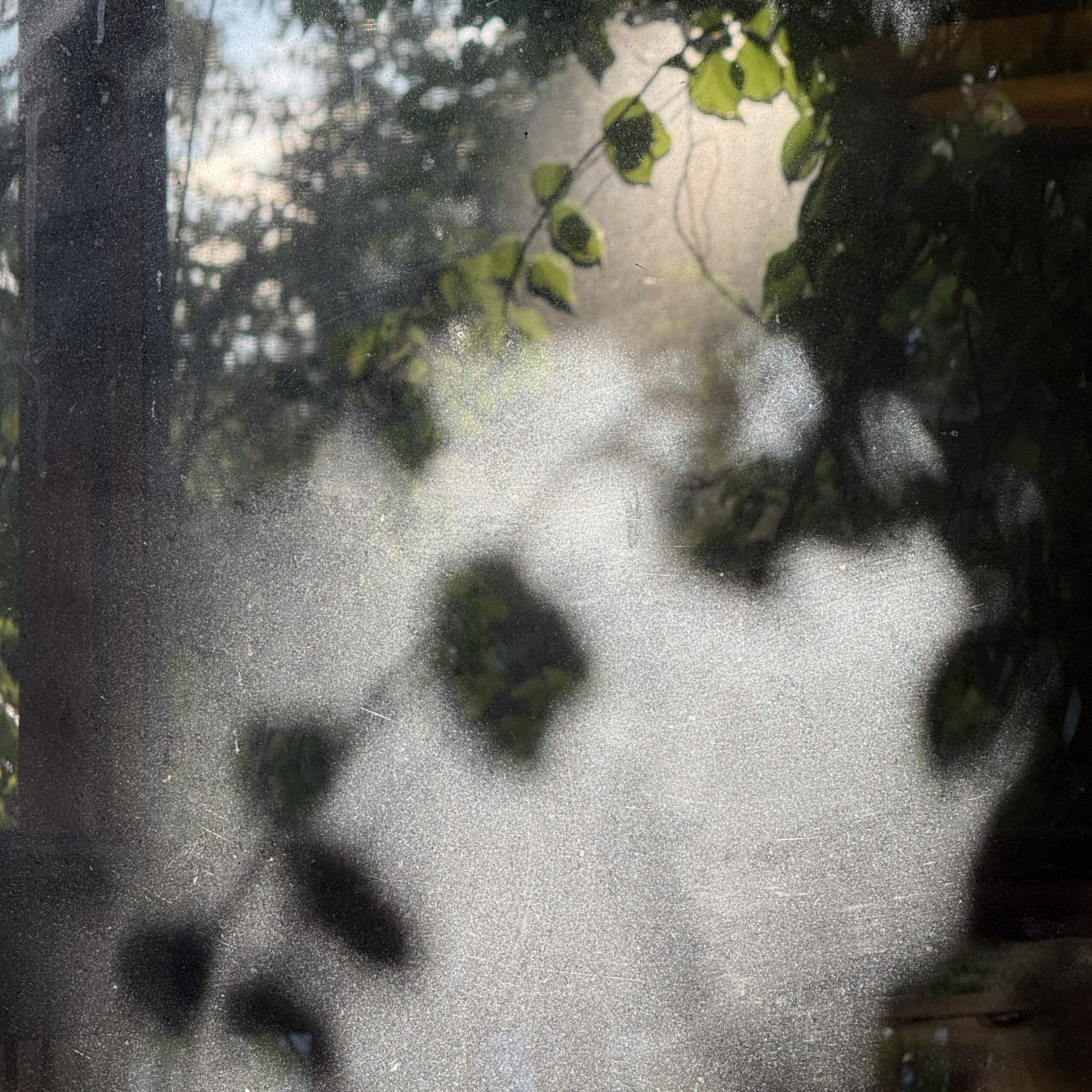 Original image, straight from camera.